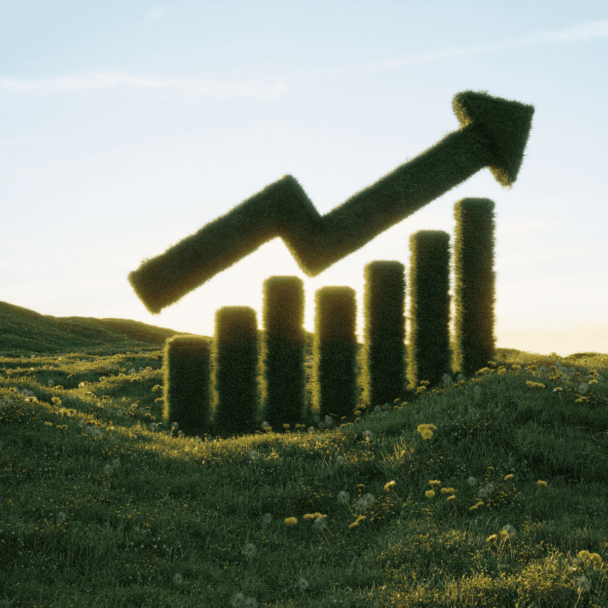 performance check - revenue(1)