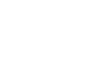 Logo_RAG-Austria-AG-white-300px